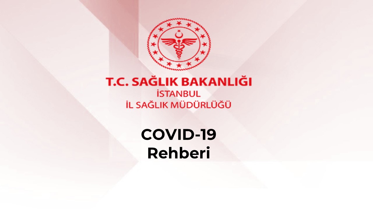 saglik bakanligi covid 19 rehberi